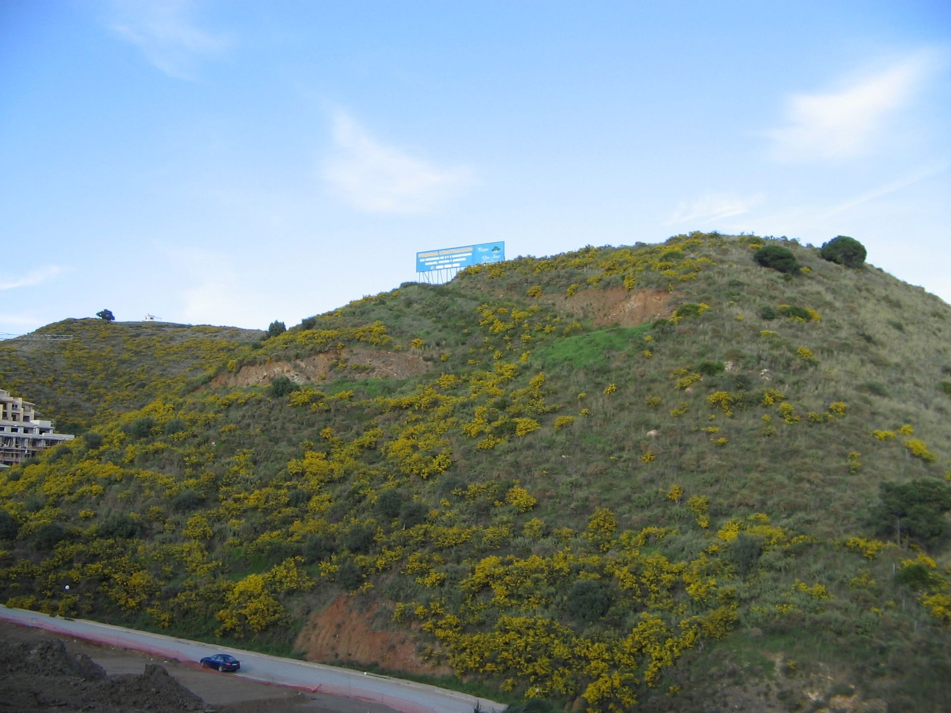 Alt text: Hillside room with scenic view, featuring yellow flowers and distant blue sign.